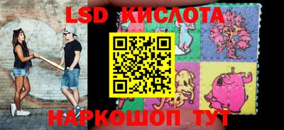 спиды Кингисепп